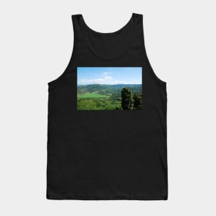 Landscape Near Motovun Tank Top